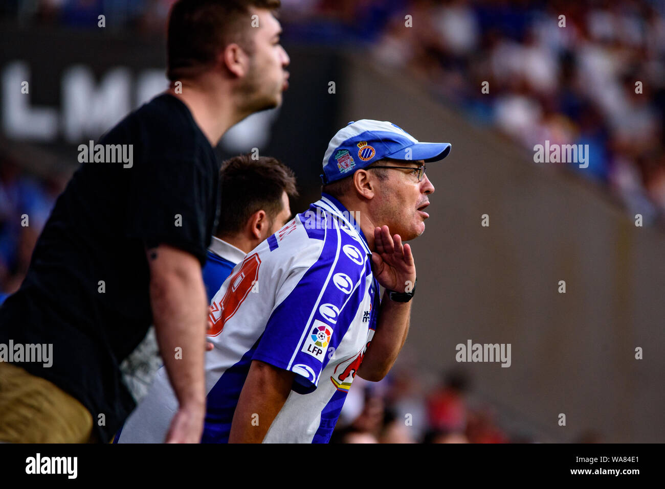 Barcelona, Spanien. 18 Aug, 2019. Unterstützer von Espanyol während des La Liga Match zwischen RCD Espanyol und Sevilla CF RCDE Stadion in Barcelona, Spanien. Credit: Christian Bertrand/Alamy leben Nachrichten Stockfoto
