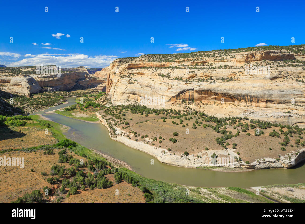 Yampa River am Schlosspark blicken im Dinosaur National Monument, Colorado Stockfoto