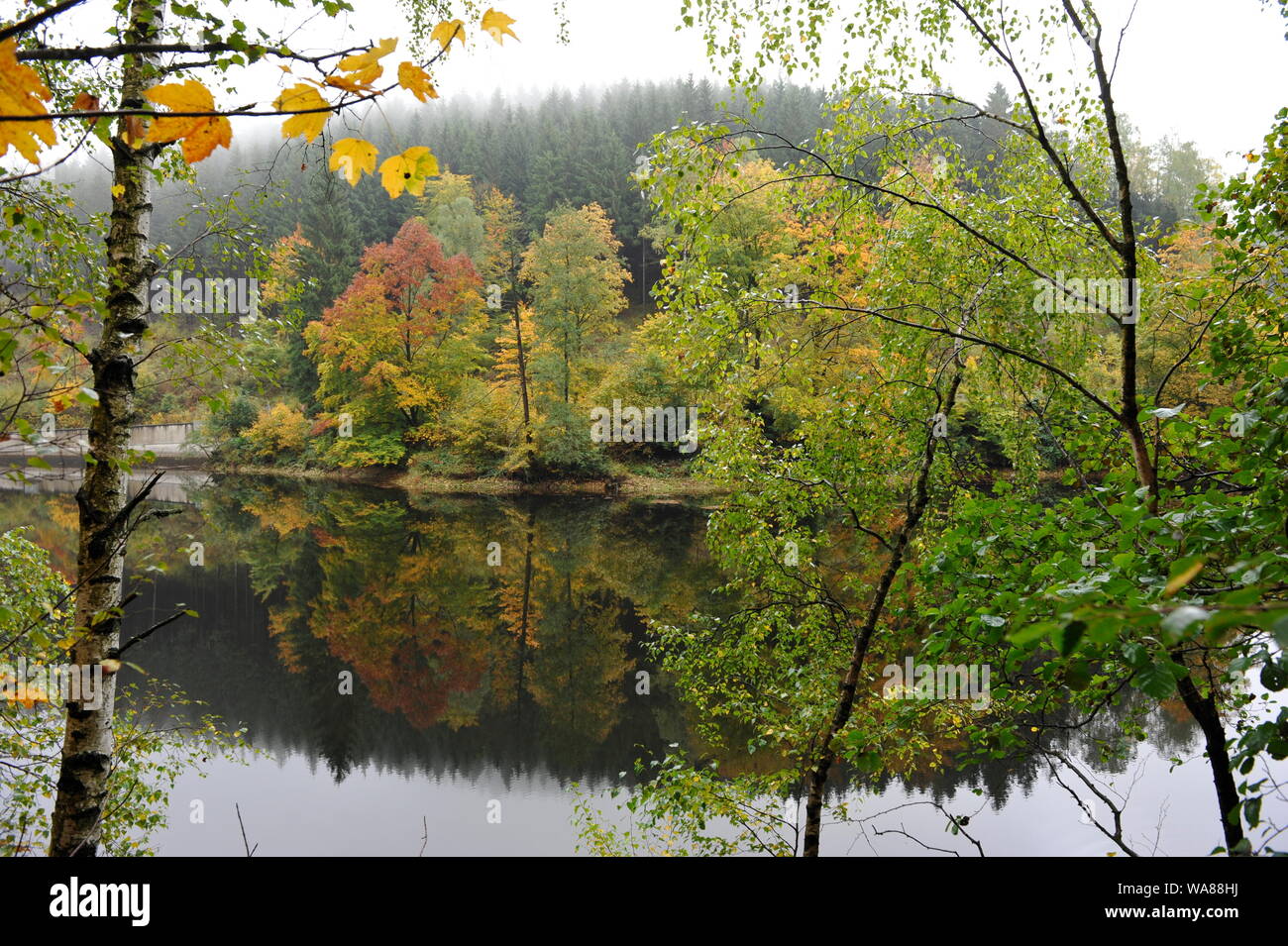 Misty Herbst Landschaft im Oderteich, Okertal. Herbst im Harz Oderteich, Talsperre im Oberharz. Stockfoto