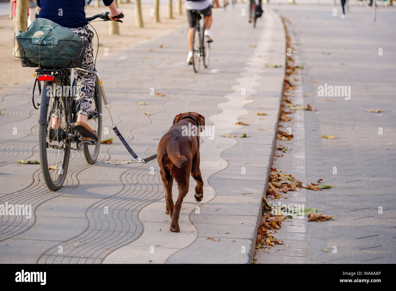 Hund Am Fahrrad Verboten Deutschland Dusseldorf burgplatz schlossturm germany -Fotos und -Bildmaterial in