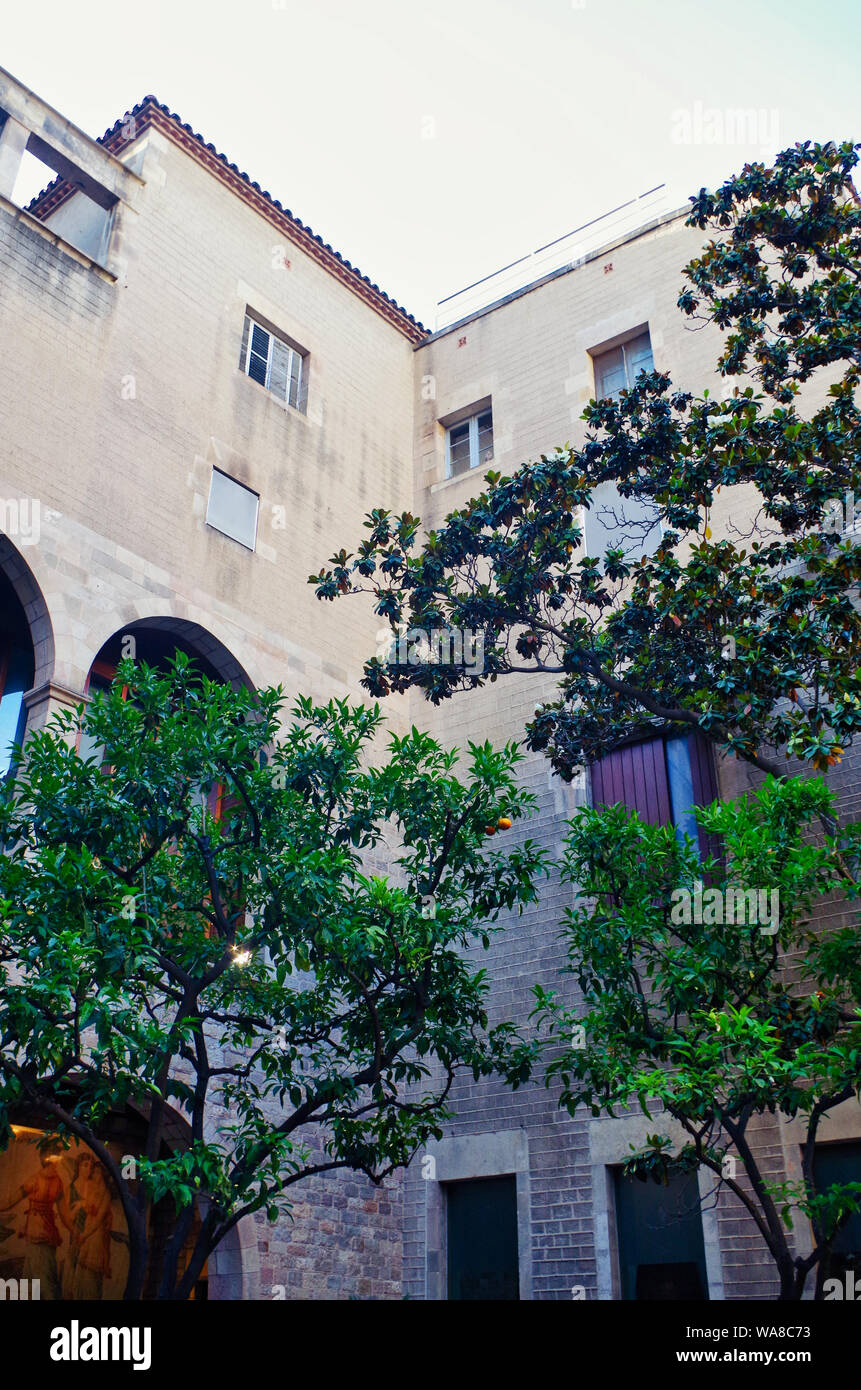 Garten im Inneren des sculptoric 'Museu Frederic Marès' Museum, gegründet von dem Bildhauer Frederic Marès (1893-1991), Barcelona City 1946 gespendet Stockfoto