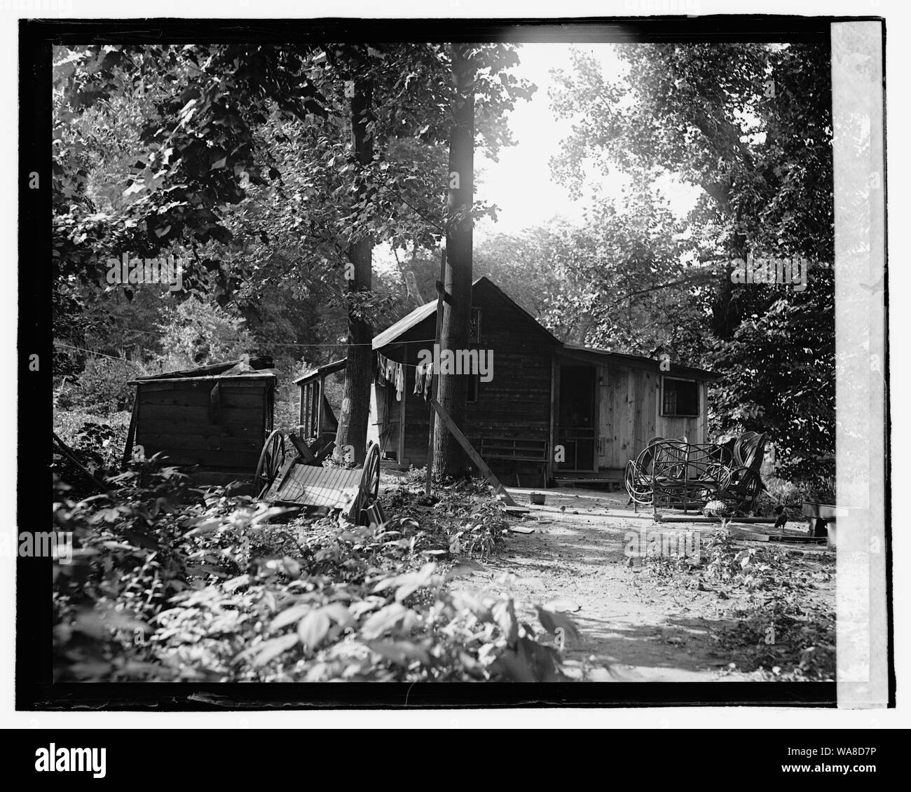 Hütte im Wald Stockfoto