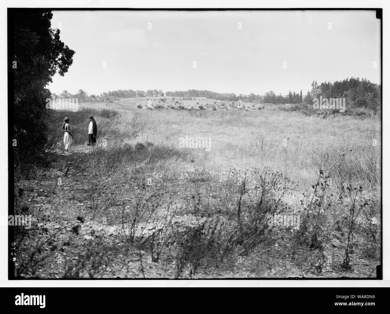 Cäsarea. (Kaisarieh). Website des Hippodrom aus dem Norden Stockfoto