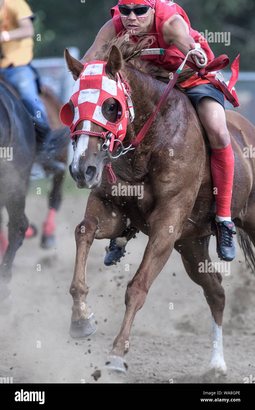 Die Enoch Cree Nation indischen Relais (Pferd) Rennen. Alberta, Kanada Stockfoto