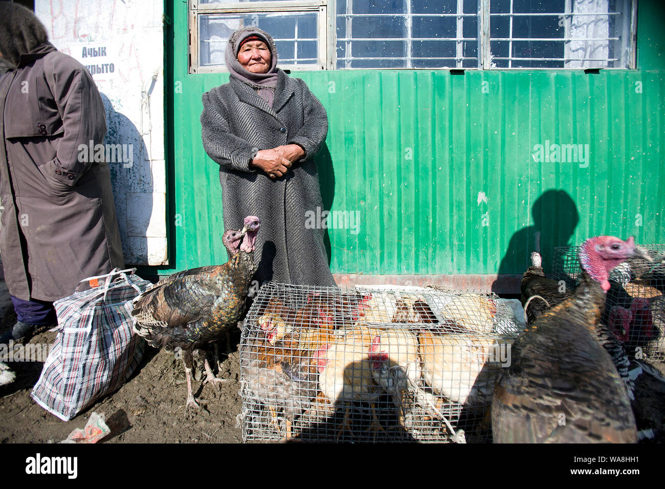 Die Kirgisische Republik Reisen Bilder - Tier von Karakol - alte Frau verkauft Pfau Stockfoto