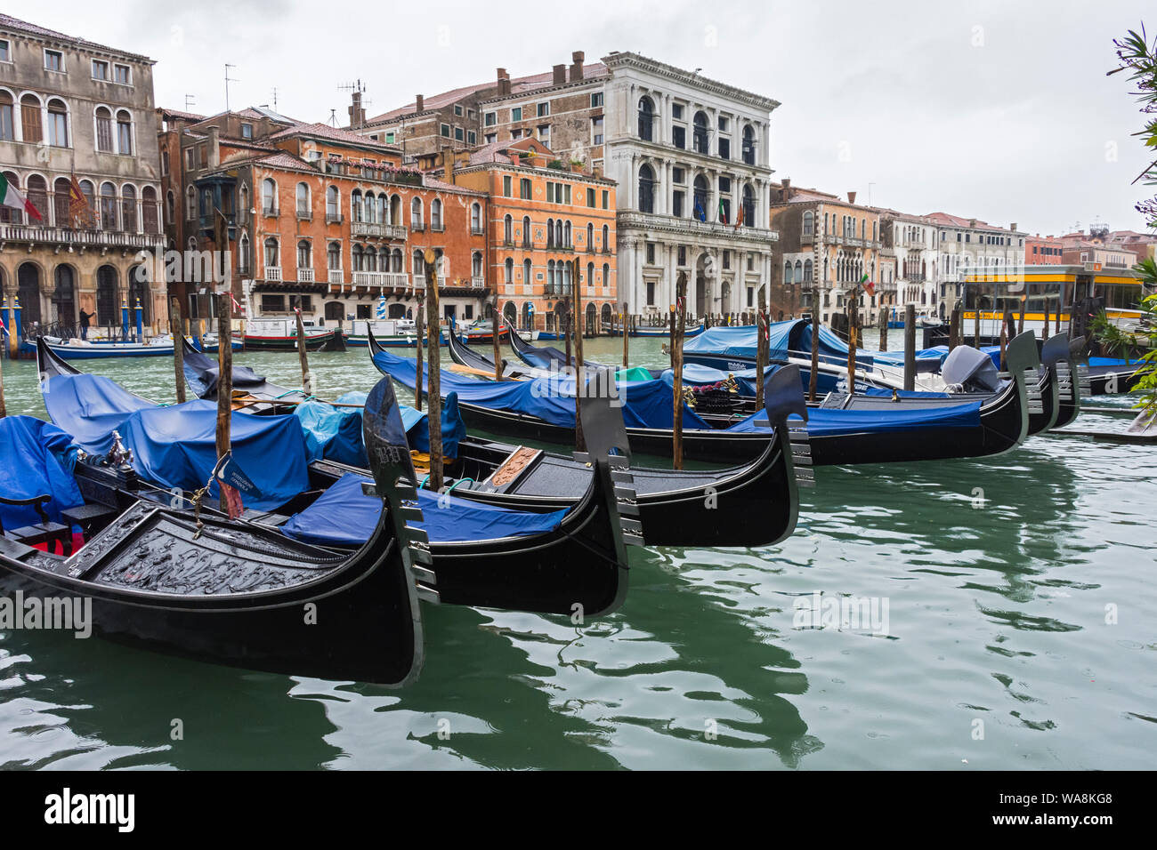 Gondeln auf dem Canal Grande (Canal Grande) von der Riva del Vin, Venedig, Italien Stockfoto