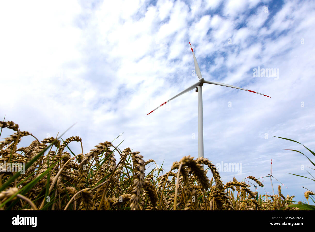 09. August 2019, Schleswig-Holstein, Husum: Windmühlen mit besonderen Hindernis Markierungen auf der Bundestraße 203 zwischen Heide und Büsum. (Dpa' Warnung Streifen auf Mühle Flügel nicht speichern Vögel") Foto: Frank Molter/dpa Stockfoto