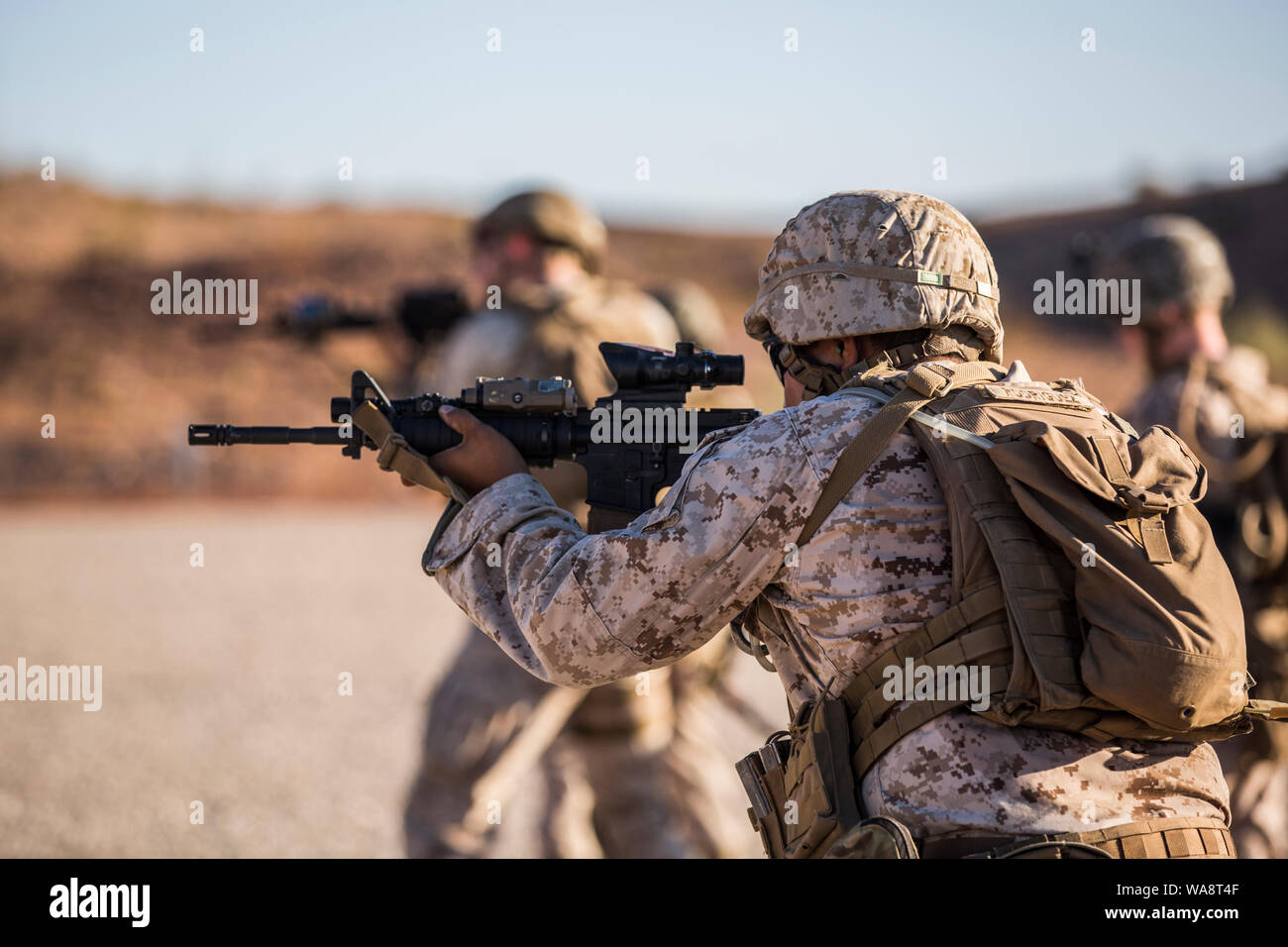 Us-Marines, die derzeit mit dem militärischen Gebrauchshund (MWD) Team Bereitstellung Schulung führen ihre Live Fire Training mit Ihren MWD auf der Weiden auf Yuma Proving Ground (YPG), August 16, 2019 zugeordnet. Die Übung besteht aus Einarbeitung und die Mwd zu Schießereien und eine Reihe von Übungen, in denen Handler kompetent Ziele engagieren, während positive Kontrolle ihrer MWD die Pflege aussetzen. (U.S. Marine Corps Foto von Cpl. Sabrina Candiaflores) Stockfoto