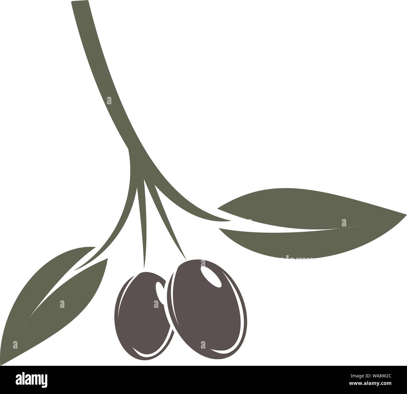 Olive Branch mit Blättern und schwarzen Früchten Vector Illustration Stock Vektor
