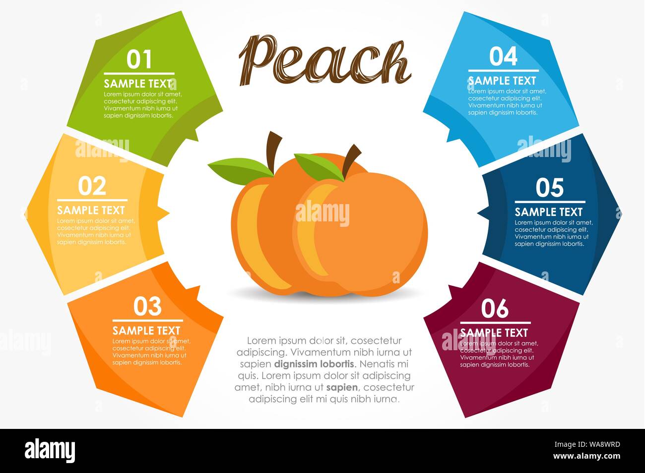 Vorlage Früchte ernährungsphysiologischen Eigenschaften. Pfirsich Kreis Infografik. Vector Illustration Stock Vektor