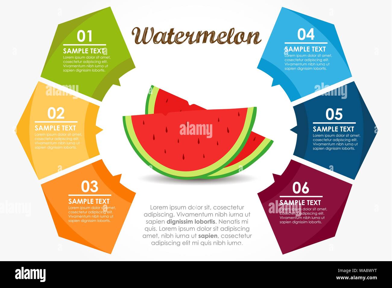 Vorlage Früchte ernährungsphysiologischen Eigenschaften. Wassermelone Kreis Infografik. Vector Illustration Stock Vektor