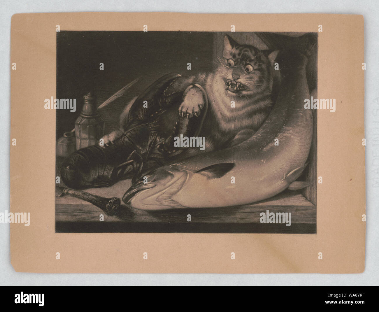 Katze die Krallen von Hummer gefangen, während versucht wurde, eine Fisch lag auf einem Tisch zu stehlen Stockfoto