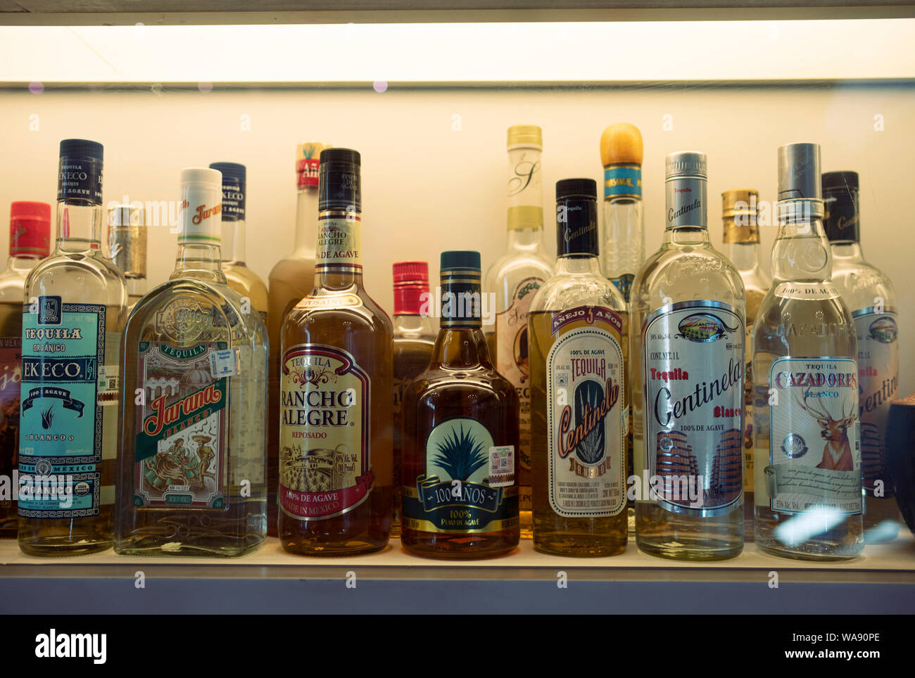 Eine Vielzahl von Tequila und Mezcal Marken ausgestellt in Tequila und Mezcal Museum (Museo del Tequila y el Mezcal). Mexiko City, CDMX, Mexiko. Jun 2019 Stockfoto