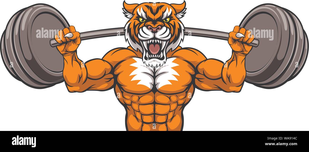 Tiger Mascot Gewichtheben Hantel Body Builder Stock Vektor