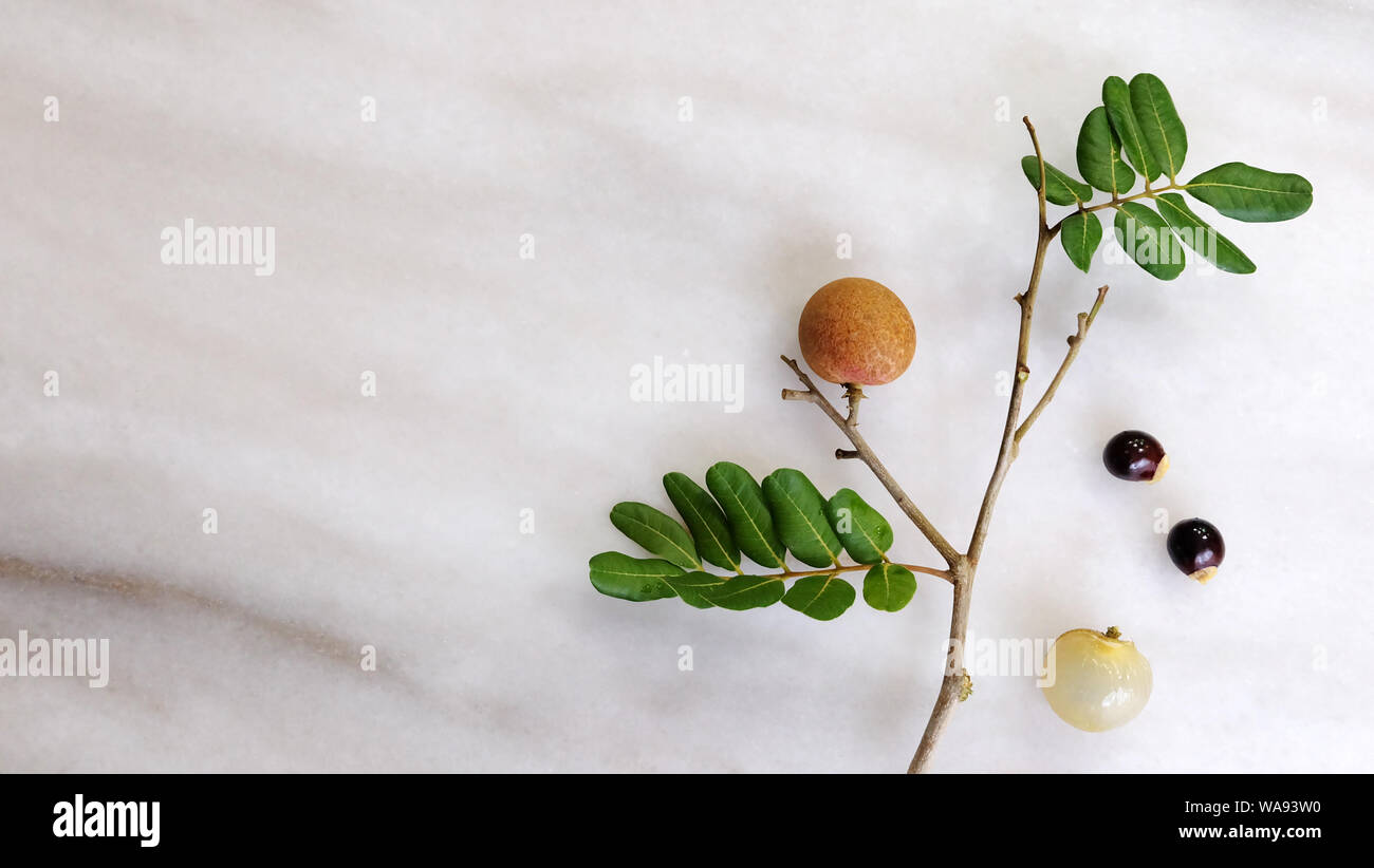 Flach der longan Zweige mit Blättern und Früchten, und eine geschälte Früchte und Samen an der Seite. Stockfoto