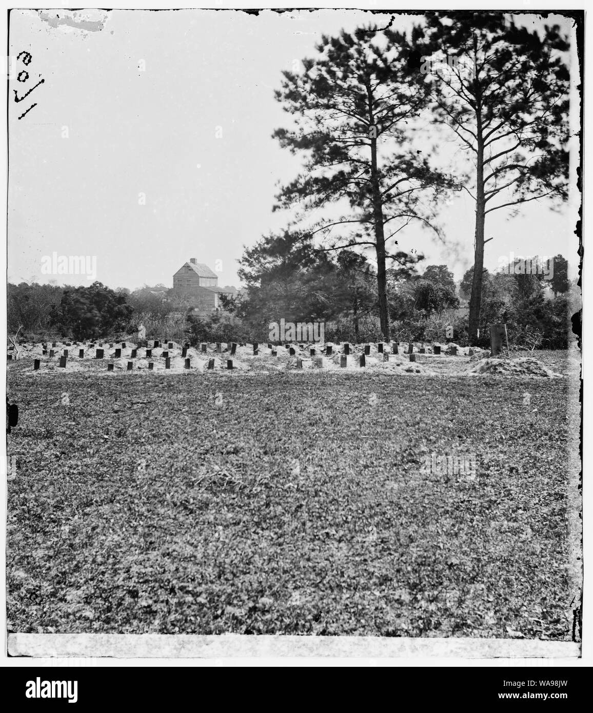 Charleston, South Carolina (Nähe). Gräber der eidgenössischen Soldaten Stockfoto
