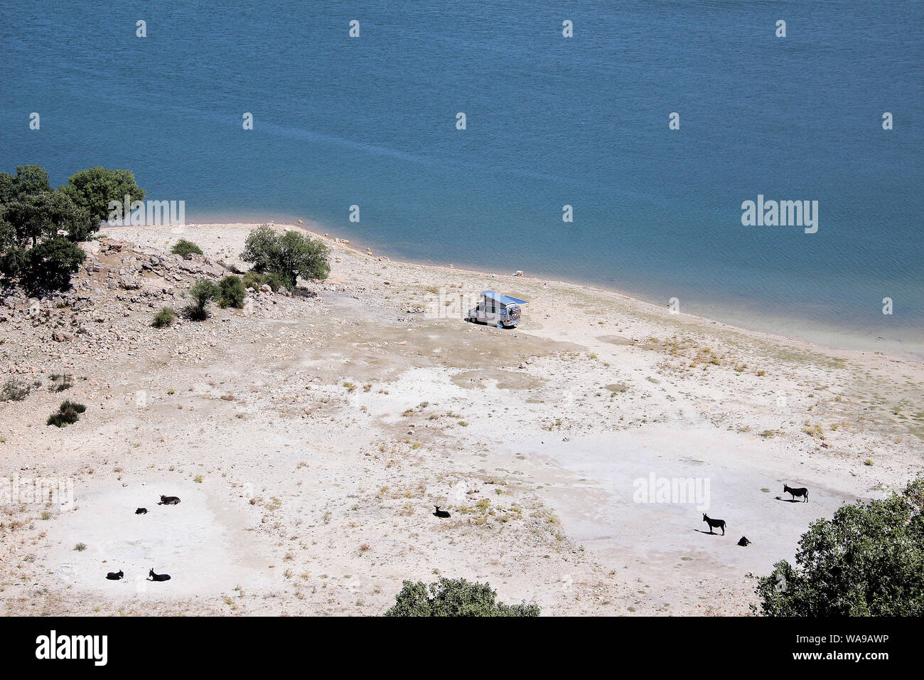 Nur einige Ziegen und einem Wohnmobil mit hebbarem Dach auf einen leeren Strand. Stockfoto