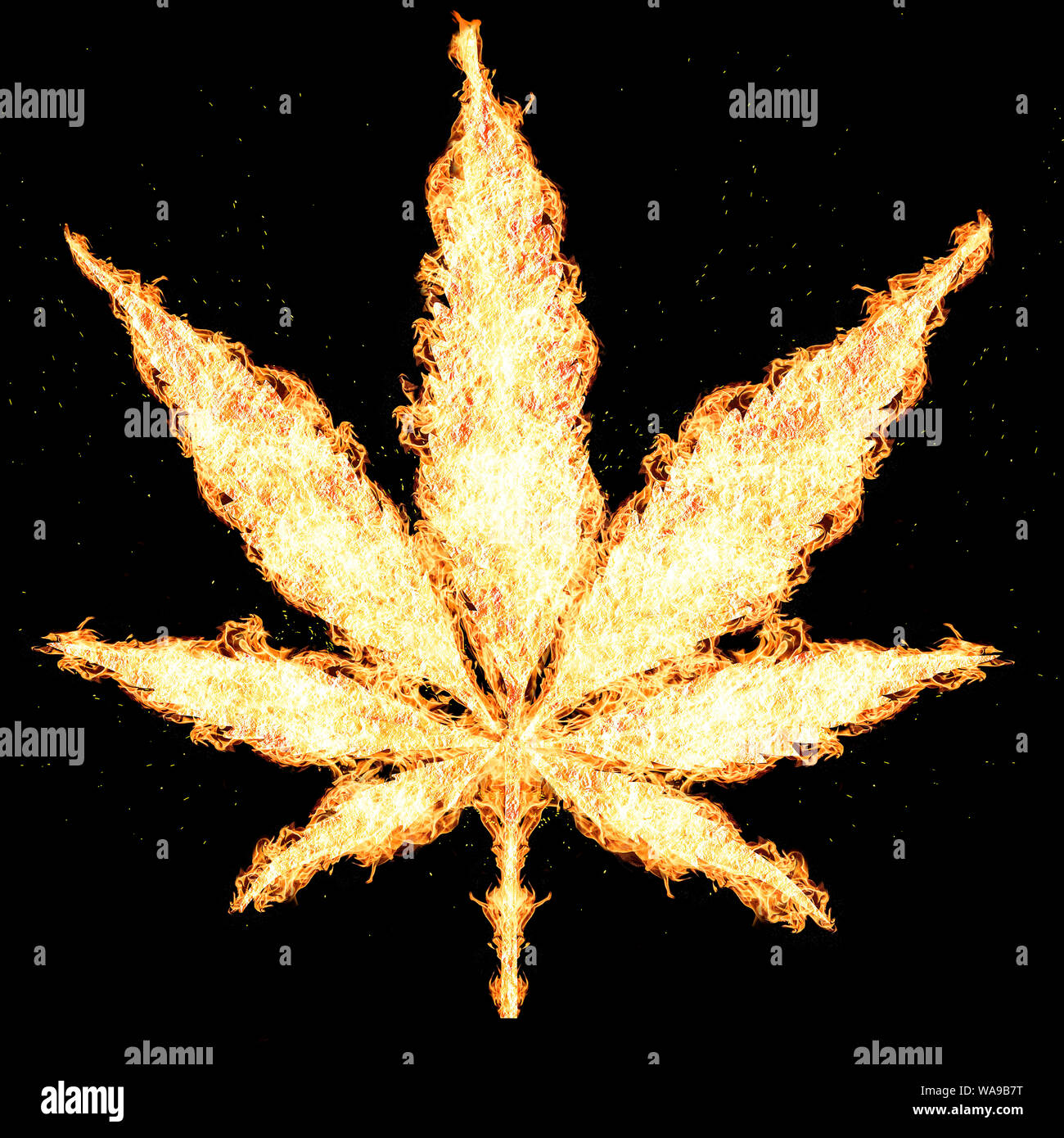 Feuer Cannabis Blätter auf weißem Hintergrund wachsenden medizinischen Marihuana cbd isoliert Stockfoto