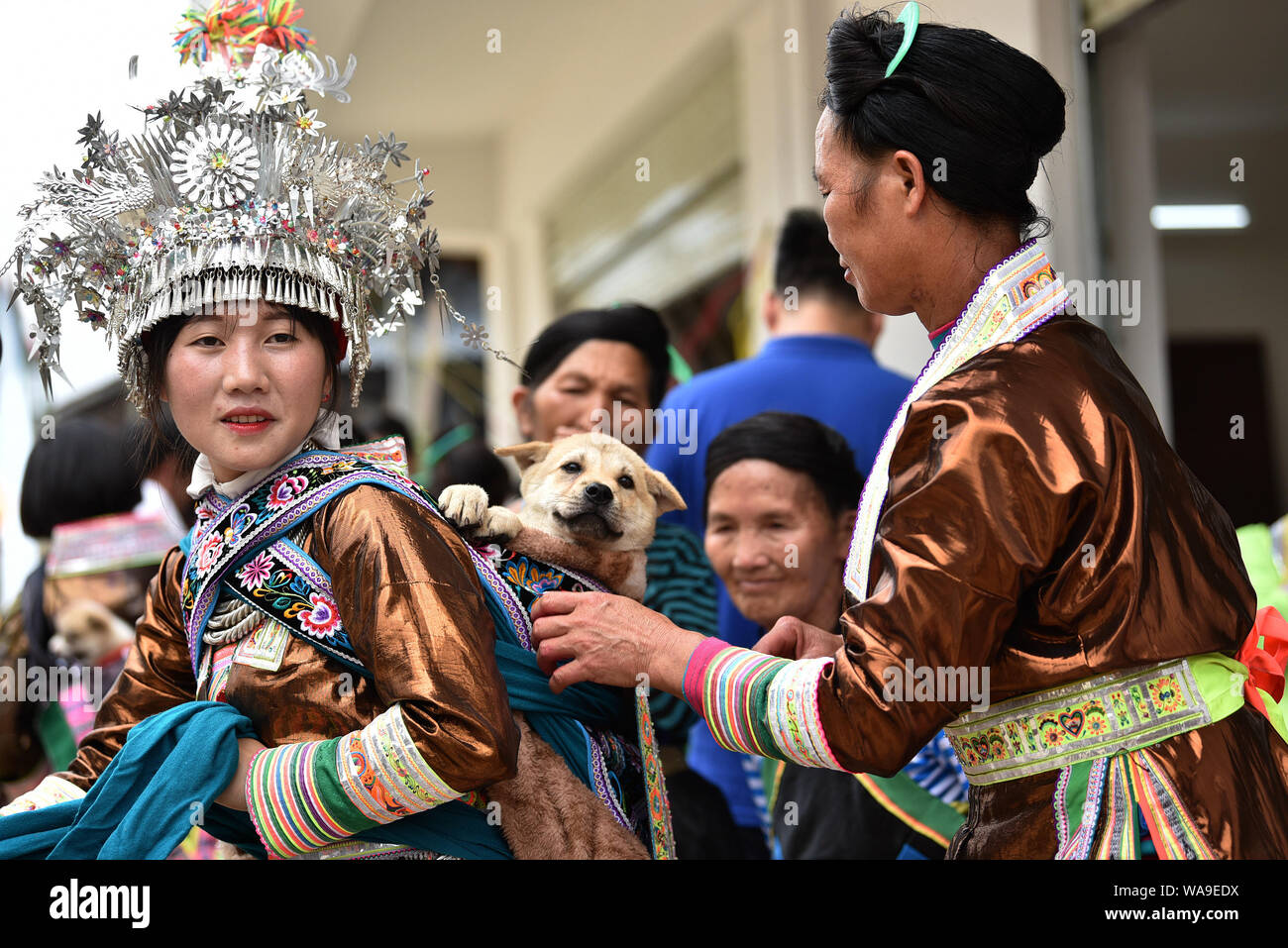 Chinesische Mädchen von Miao ethnische Gruppe, die traditionelle Kostüme und headwears Hunde tragen auf dem Rücken sammeln gekochten Reis und Schweinefleisch während der Xin Stockfoto