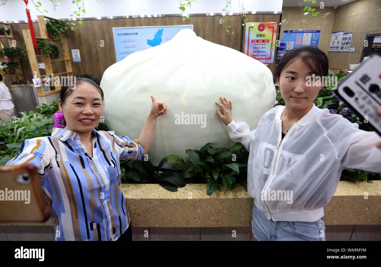 Kunden posieren für Fotos mit einem riesigen'S teamed Gefüllte Brötchen", die 1,5 Meter im Durchmesser, in einem Restaurant in der Stadt Xi'an im Nordwesten Chinas Stockfoto