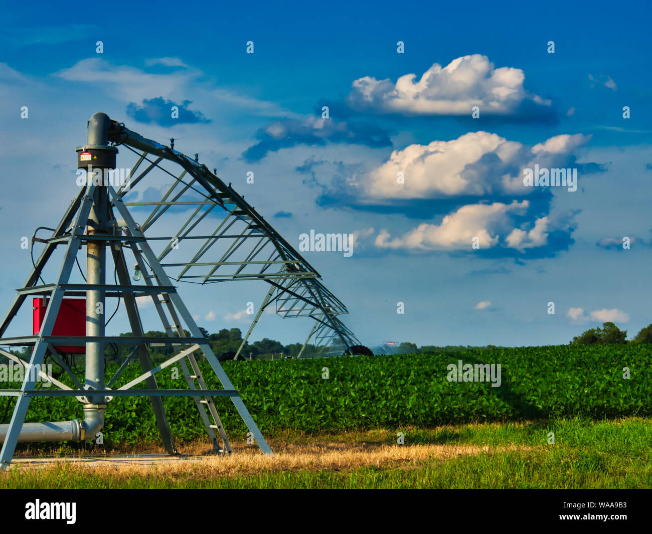 Drehscheibe eines Mittenpivotbewässerungssystems in einem süßen Maisfeld in Ohio USA Stockfoto
