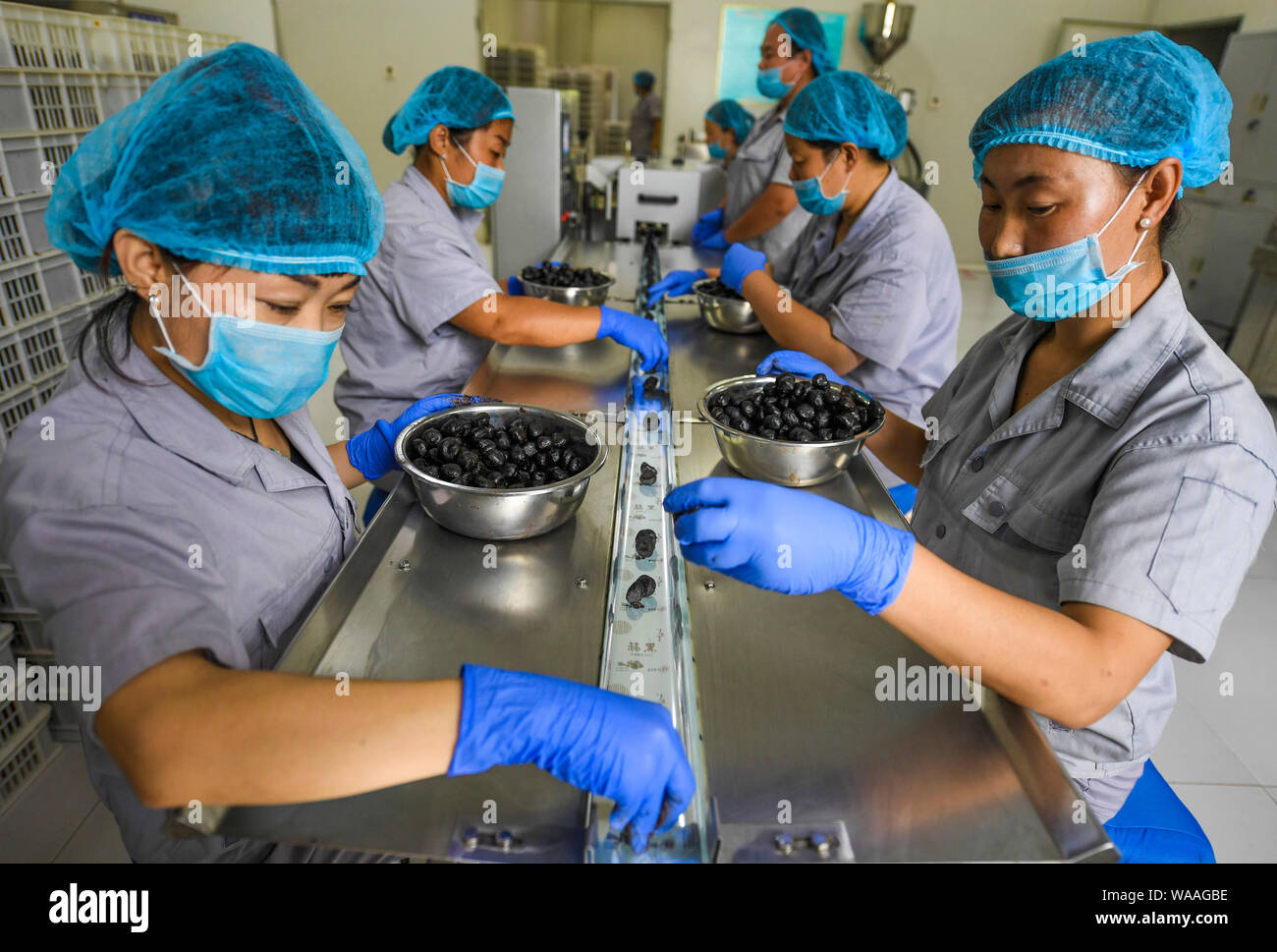 Jingxian, der chinesischen Provinz Hebei. 19 Aug, 2019. Arbeitnehmer verpacken die Produkte bei einem schwarzen Knoblauch Fabrik in Jingxian County, im Norden der chinesischen Provinz Hebei, Aug 19., 2019. Die schwarzen Knoblauch verarbeitende Industrie entwickelte sich rasant in Jingxian County, Beschäftigungsmöglichkeiten für die lokale Bevölkerung. Credit: Li Xiaoguo/Xinhua/Alamy leben Nachrichten Stockfoto