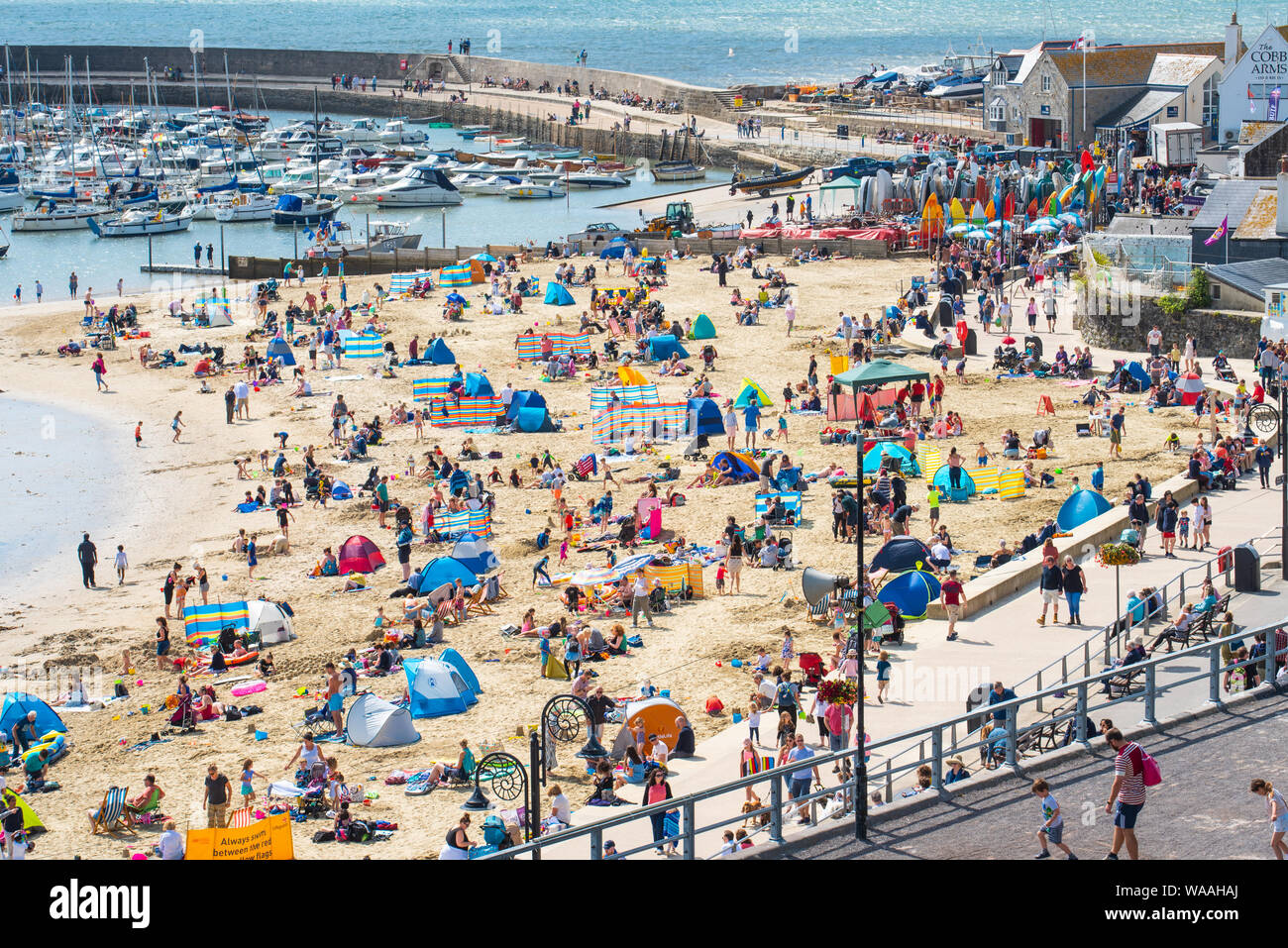 Lyme Regis, Dorset, Großbritannien. 19 Aug, 2019. UK Wetter: Beachgoers und Urlauber Masse der Sandstrand in der pictureseque Resort von Lyme Regis, wie Sommer Sonne kehrt nach einem Wochenende mit heftigen Regen und starkem Wind. Viel Sonne und blauer Himmel sind im Vorfeld der August Bank Holiday Wochenende prognostiziert. Credit: Celia McMahon/Alamy leben Nachrichten Stockfoto