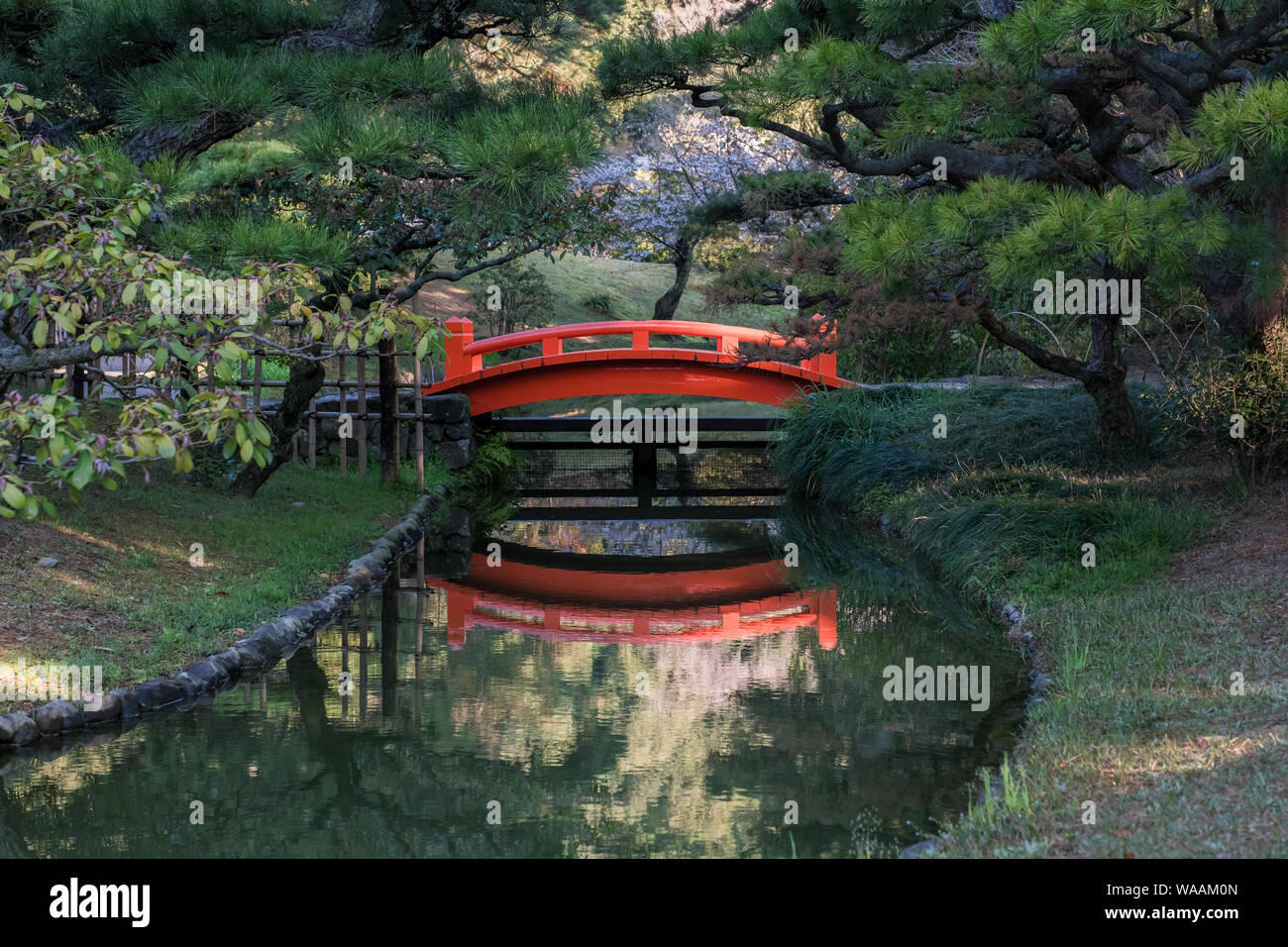 Eine leuchtend rote Bogenbrücke und Spiegelung sowie Kirschblüten n Hintergrund im Ritsurin Garden in Shikoku, Japan Stockfoto
