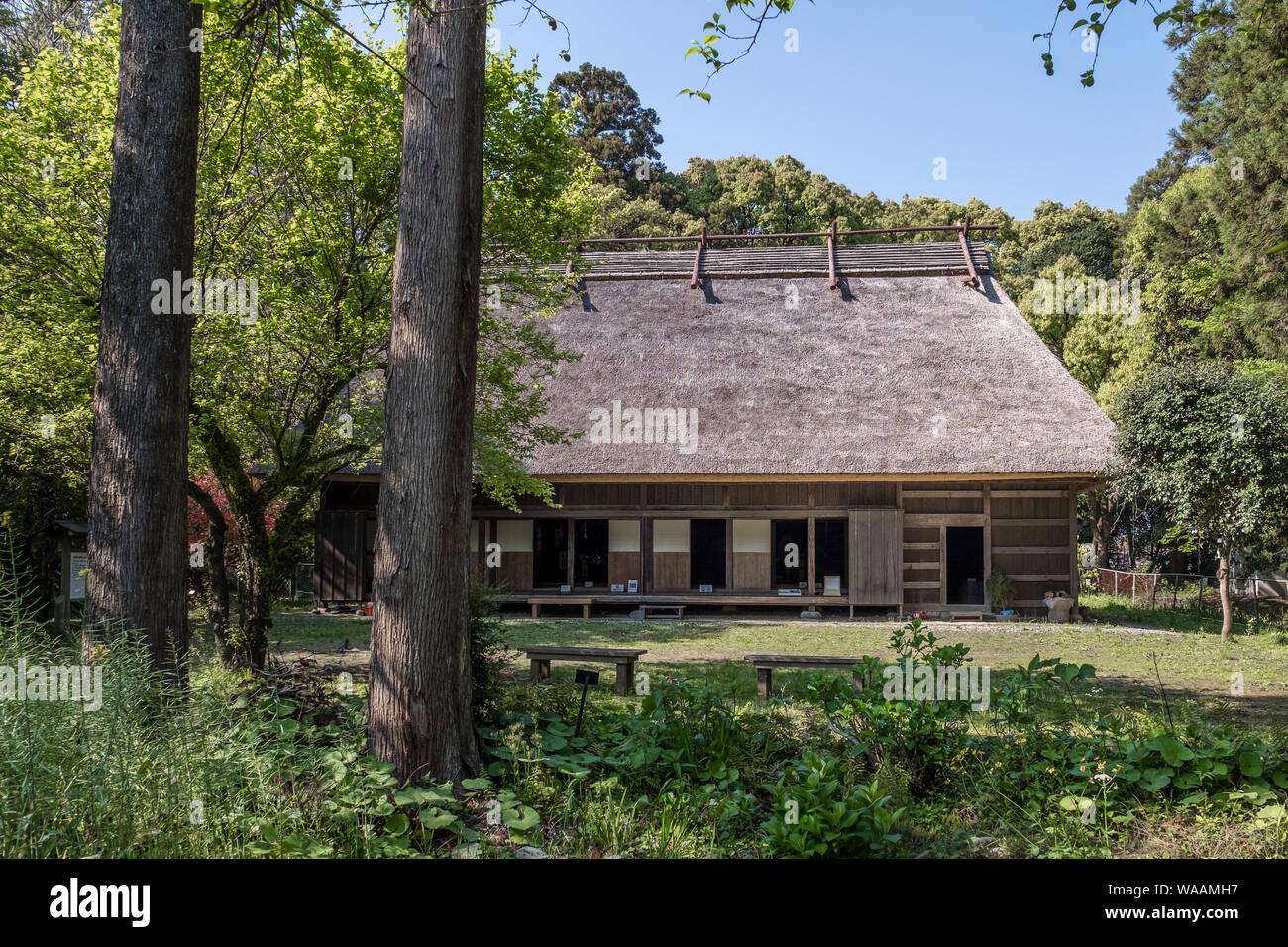 Ein traditionelles Strohdachhaus in der Nähe des Miyazaki-jingu-schreins in Miyazaki, Japan Stockfoto