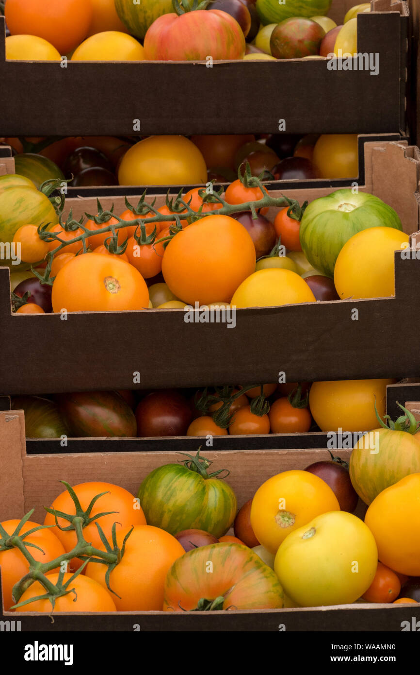 Eine Auswahl an bunten Tomaten am Marktstand. Farbenfrohe Farmers Market. Stockfoto