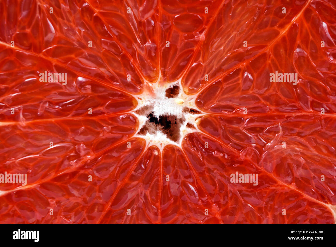 Hintergrund, Textur - Mitte des Cut grapefruit Nahaufnahme Stockfoto