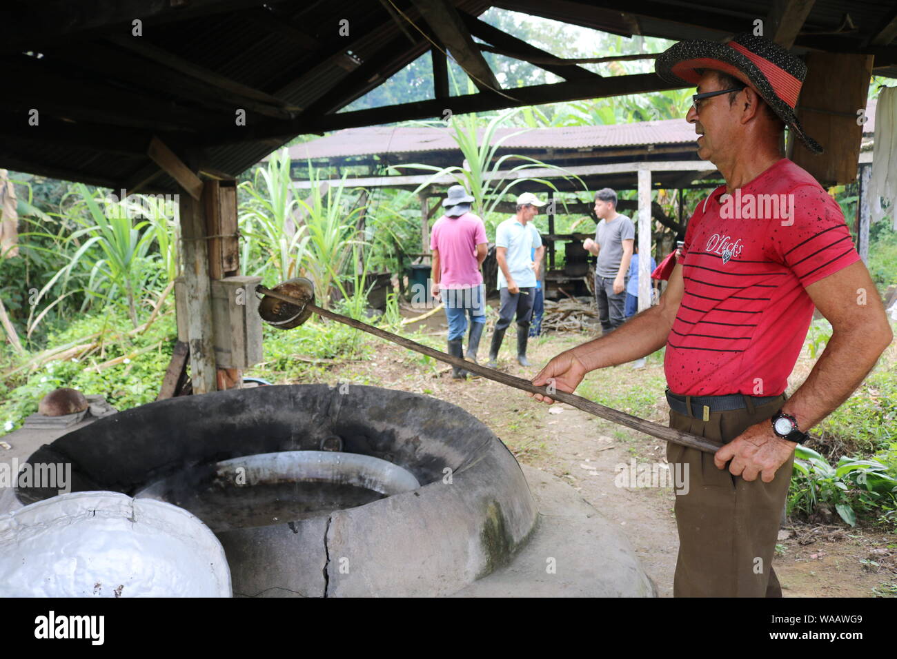 Sabaleta, Kolumbien. 09 Juli, 2019. Daniel Arevalo macht Zuckerrohr Sirup. In 2017 wird die Arevalo Familie riss die Coca Rauch und Pläne ihrer Zuckerrohr Fabrik zu modernisieren (dpa-Korr'' wachsen Coca oder Gehen': Kolumbien verlieren die Anti-drogen-Krieg?") Quelle: Sinikka Tarvainen/dpa/Alamy leben Nachrichten Stockfoto