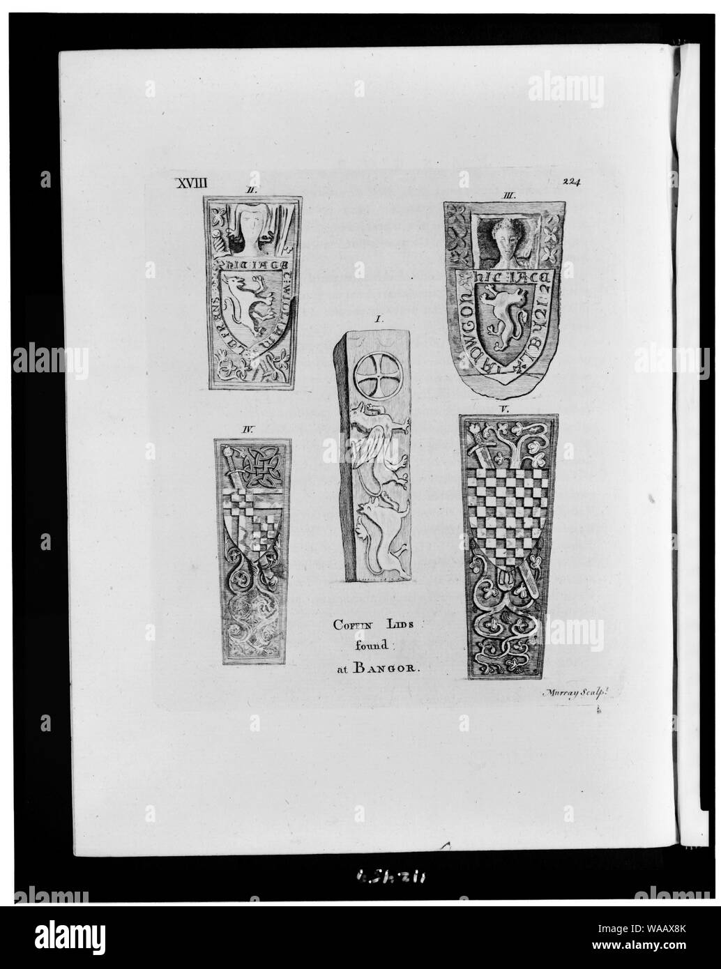 Sarg Deckel gefunden in Bangor/Murray sculpt. Stockfoto