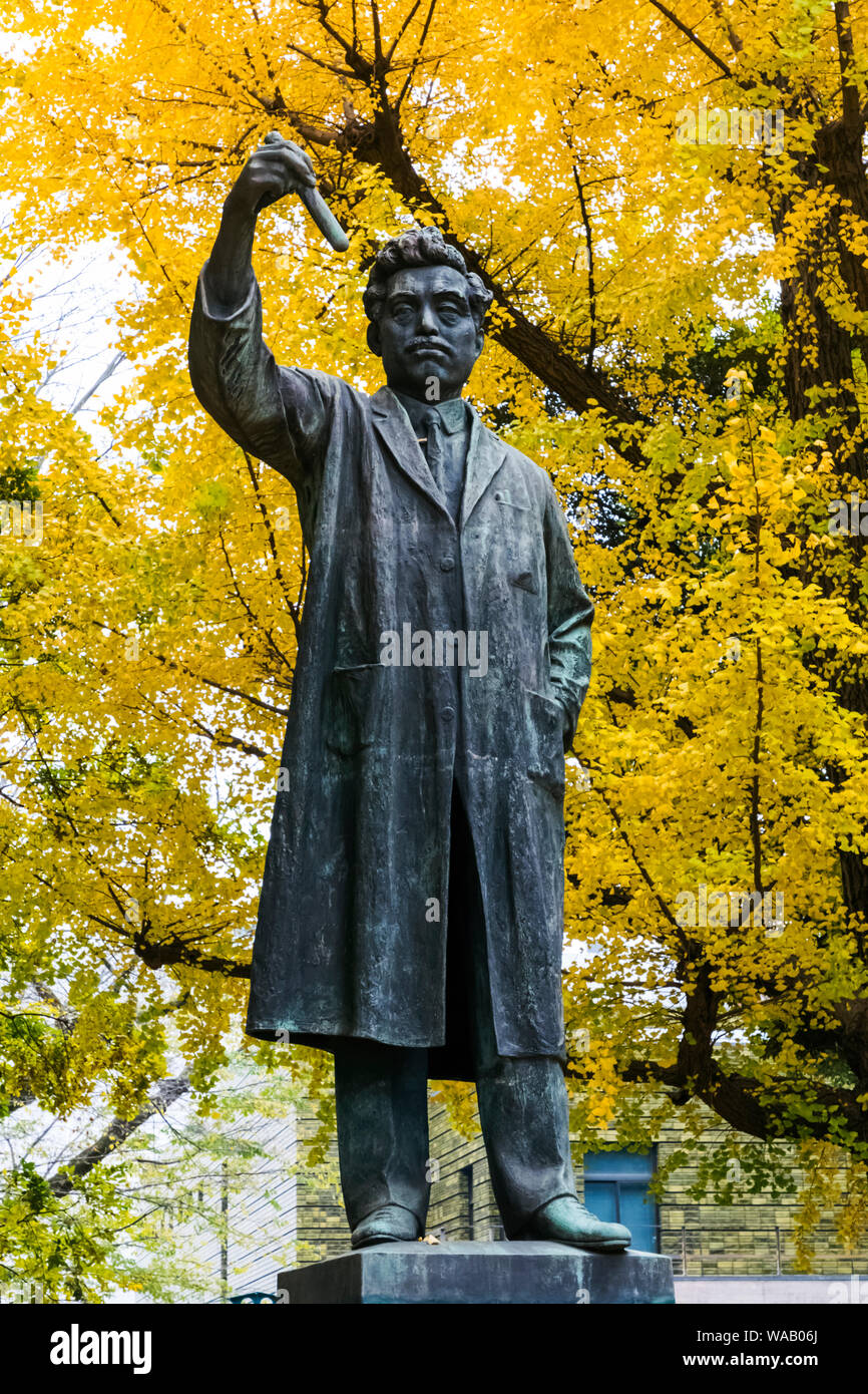 Japan, Honshu, Tokio, Hibiya, Ueno Park, Statue der Hideyo Noguchi (1876-1928), 30076005 Stockfoto