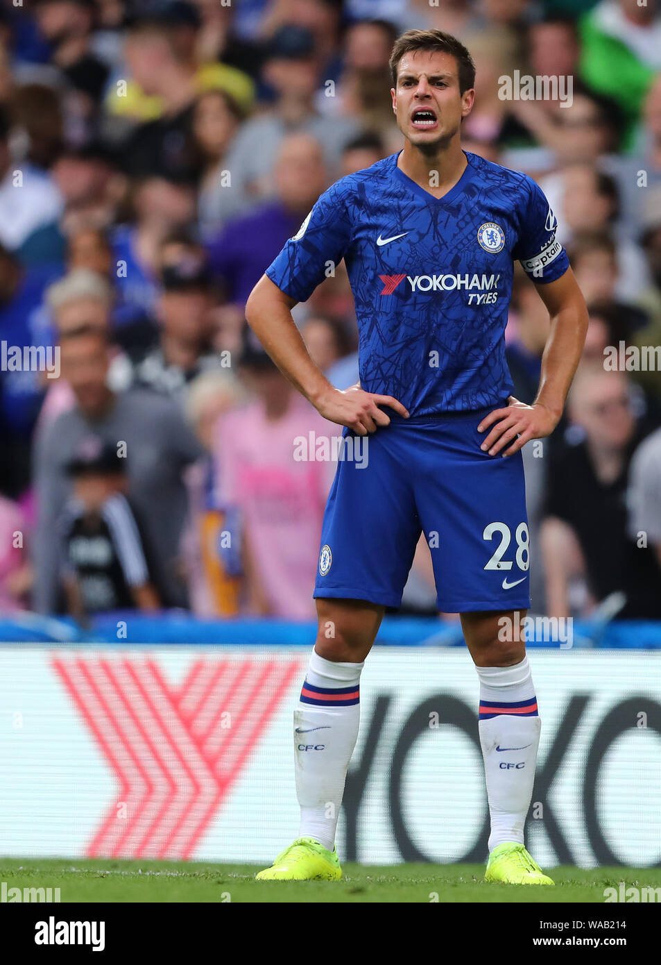 Cesar Azpilicueta von Chelsea - Chelsea v Leicester City, Premier League, Stamford Bridge, London, Großbritannien - 18 August 2019 Editorial nur verwenden - DataCo Einschränkungen Stockfoto