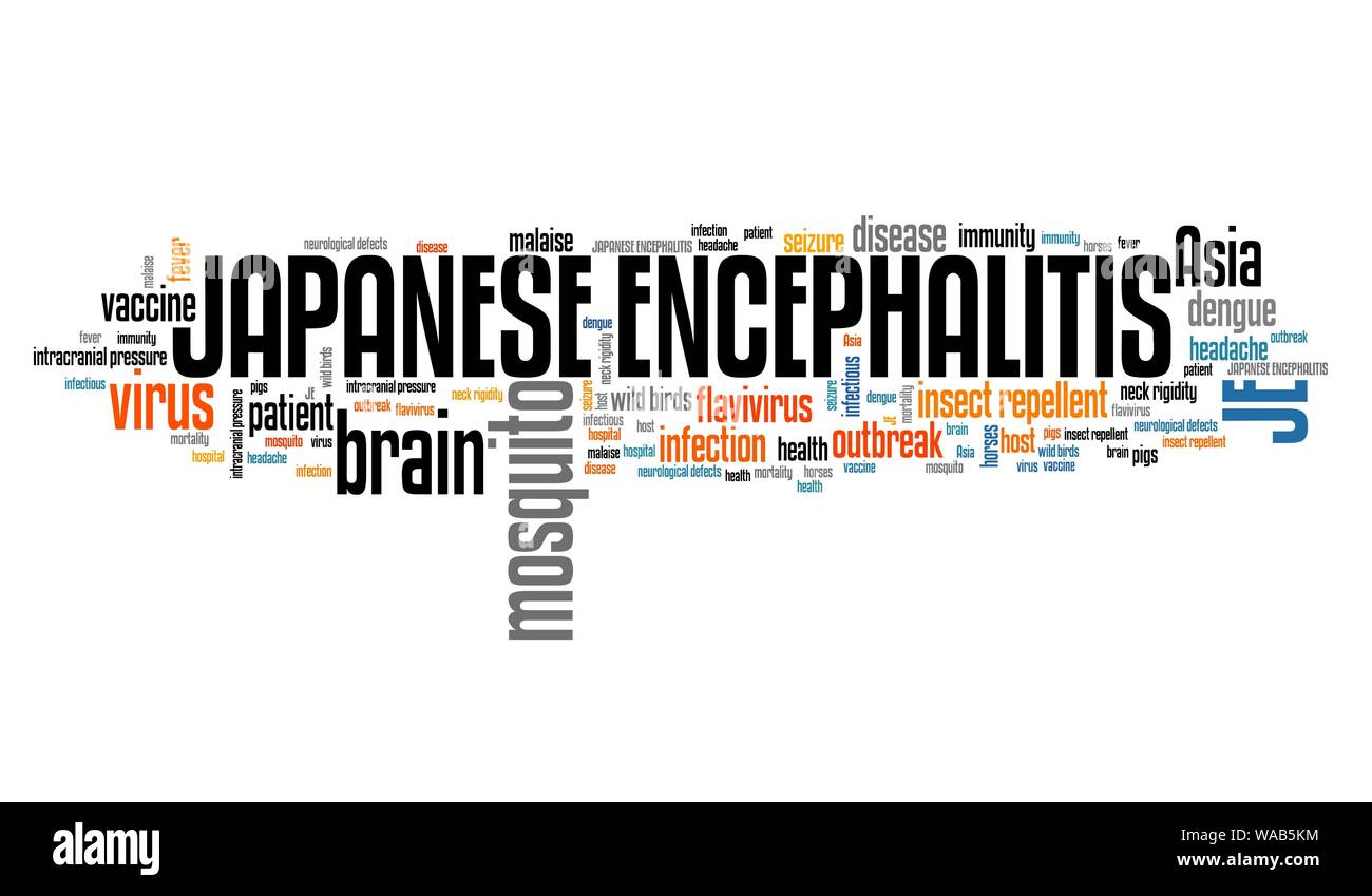 Japanische Enzephalitis - Mosquito borne Virus Krankheit. Wort Wolke Abbildung. Stockfoto