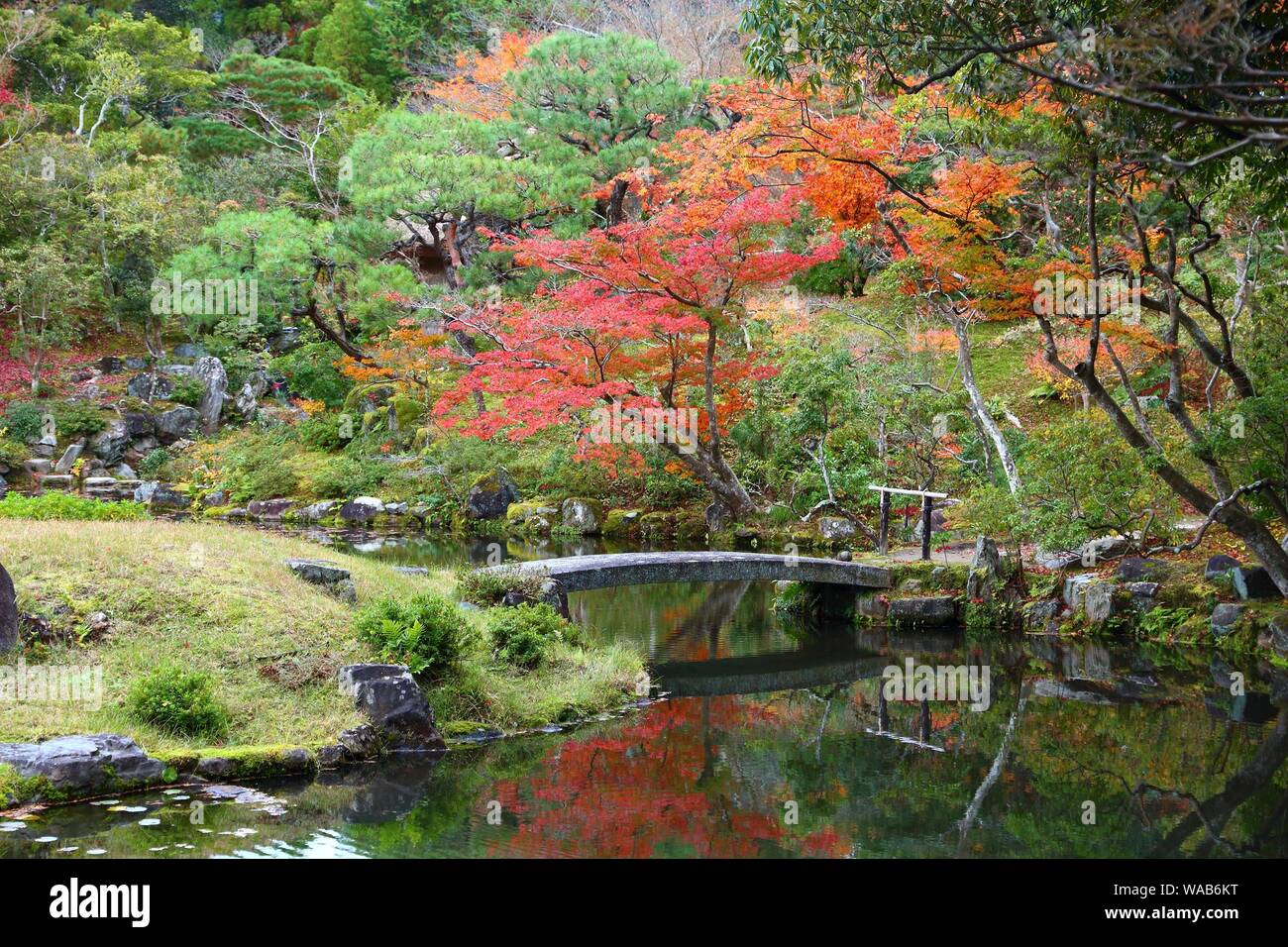 Traditionelle japanische Garten im Herbst - Isuien Garten von Nara, Japan. Herbst Laub. Stockfoto