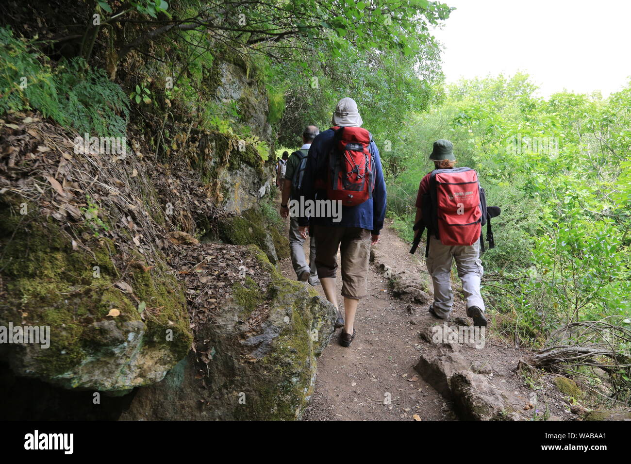 Pilgerreise im Heiligen Land. Spaziergang in den Golanhöhen. Baniyas. Golan. Israel. Stockfoto