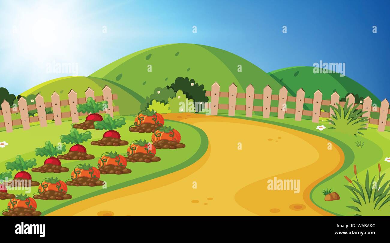 Pumpkin Drawing Stock Vektorgrafiken Kaufen Seite 24 Alamy