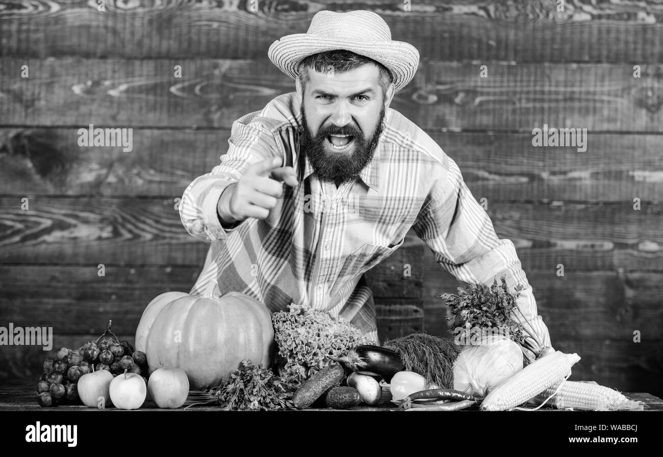 Landwirtschaftlichen Produkten. saisonale Vitamin essen. Nützliche Obst und Gemüse. bärtigen reife Landwirt. Harvest Festival. organische und natürliche Lebensmittel. happy halloween. man-Chef mit reichen Herbst Ernte. Stockfoto