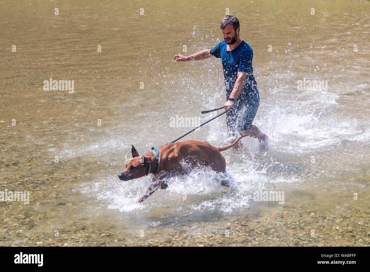 Glückliche junge Mann mit seinem Hund, Spaß haben, Schwimmen im Fluss. Liebe Tiere liebe mein Haustier Stockfoto