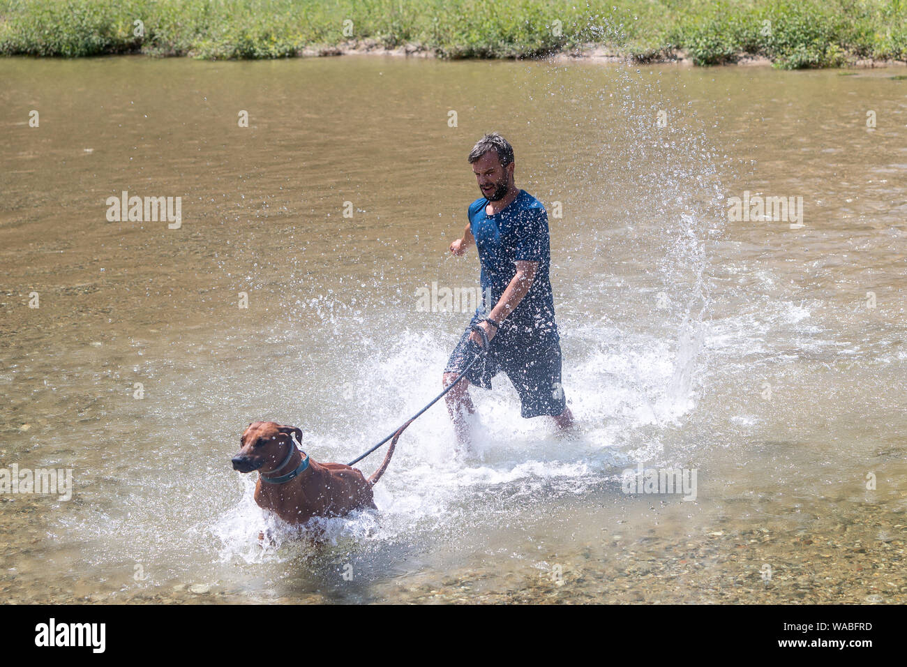 Glückliche junge Mann mit seinem Hund, Spaß haben, Schwimmen im Fluss. Liebe Tiere liebe mein Haustier Stockfoto