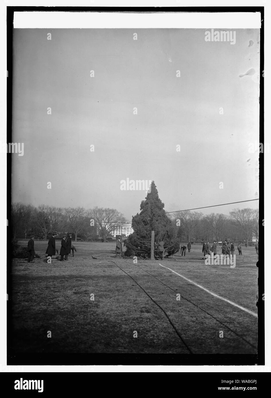 Community Christmas Tree, [12/24/23] Stockfoto