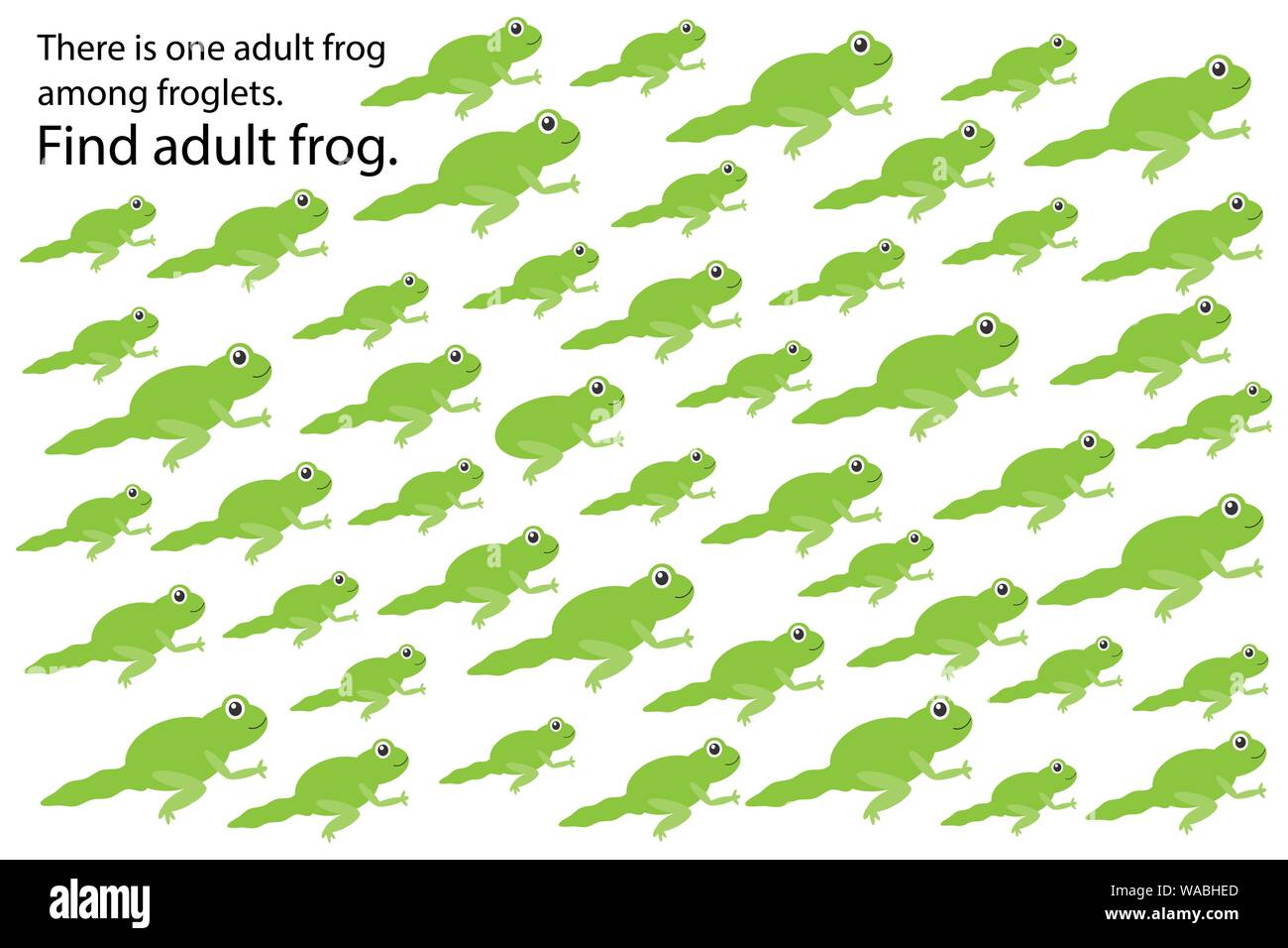 Nach Frosch unter froglets finden, Bildung puzzle Spiel für Kinder, Vorschule Arbeitsblatt Aktivität für Kinder, Aufgabe für die Entwicklung von logischen Stock Vektor