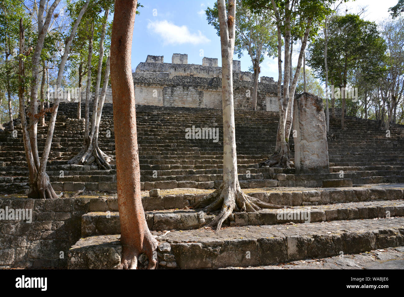 Maya Tempel Mexiko Stockfoto