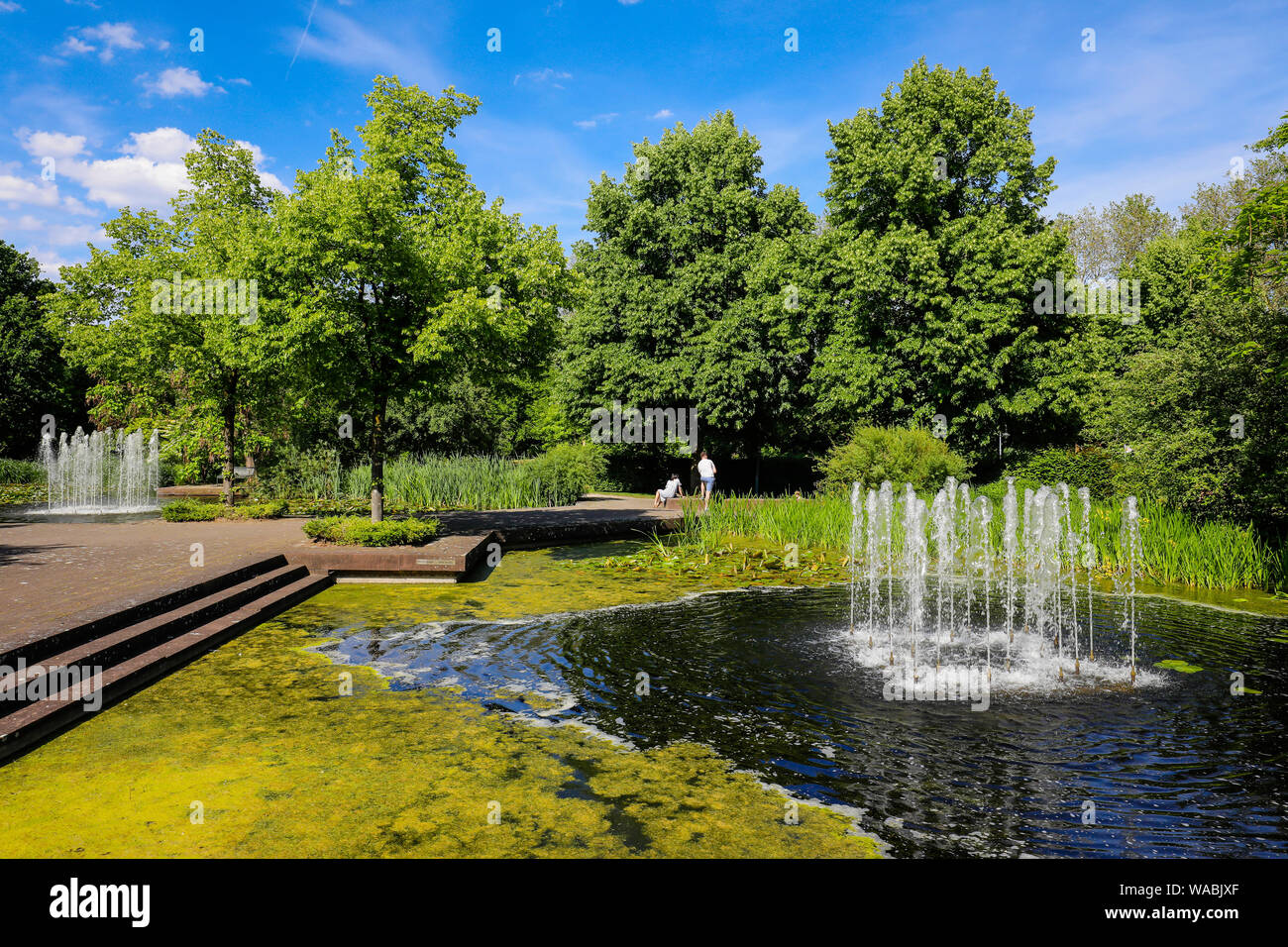 Mülheim an der Ruhr, Ruhrgebiet, Nordrhein-Westfalen, Deutschland - See mit Springbrunnen im Park, im Garten des MŸGa Muelheim an der Ruhr. Mülheim an einer de Stockfoto