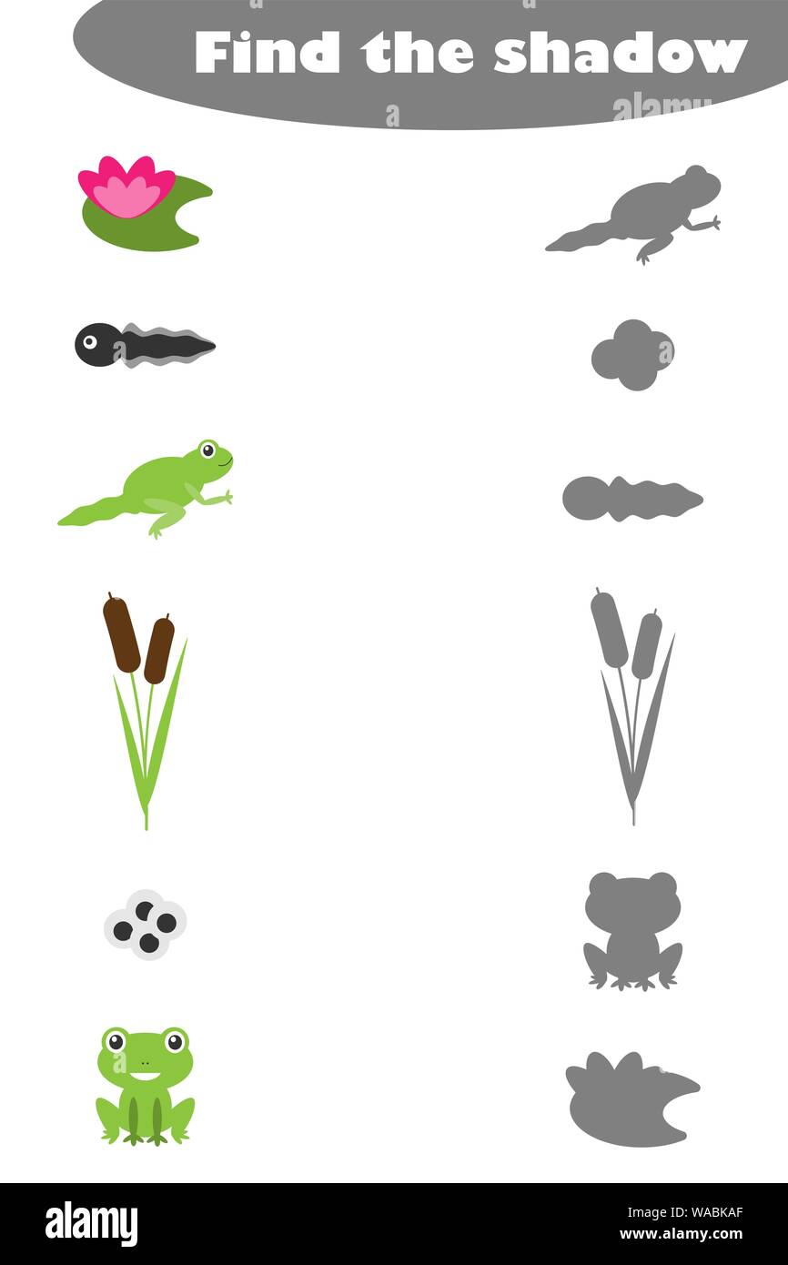 Suchen Sie den Schatten, Spiel für Kinder Lebenszyklus und Teich im Comic-stil Frosch, Bildung Spiel für Kinder, Vorschule Arbeitsblatt Tätigkeit, für die Aufgabe Stock Vektor