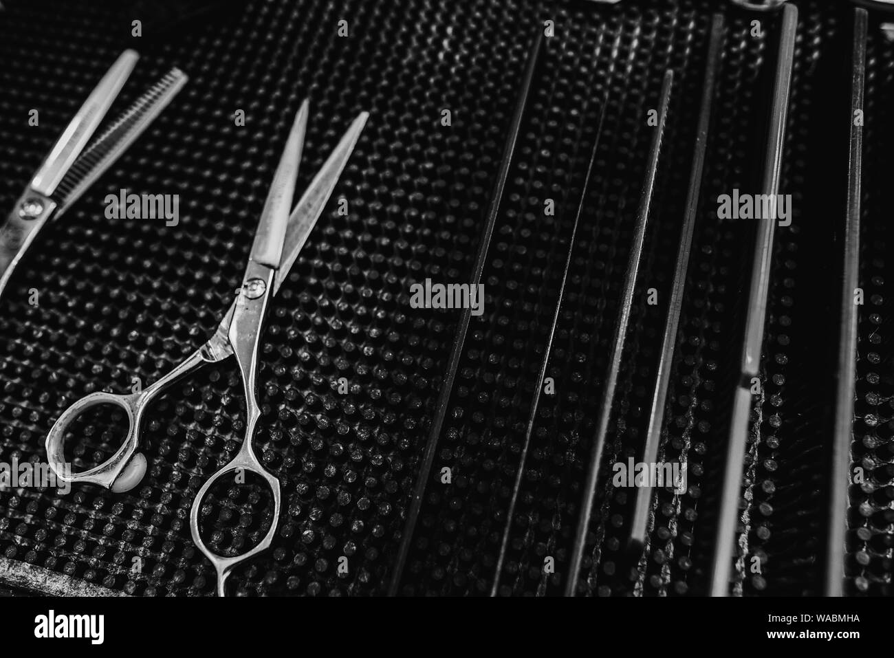 Friseur- Tools. Friseur Arbeitsplatz. Ein großer Plan. Schwarz-weiß Foto. Stockfoto