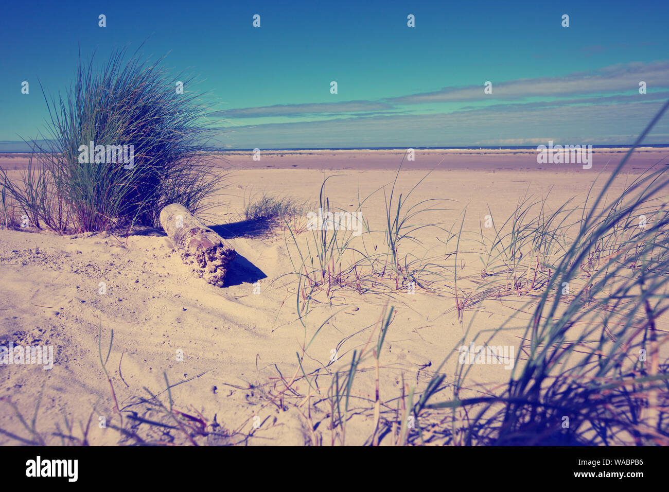 Dünen von Borkum, Europa, Deutschland, Ostfriesische, Stockfoto