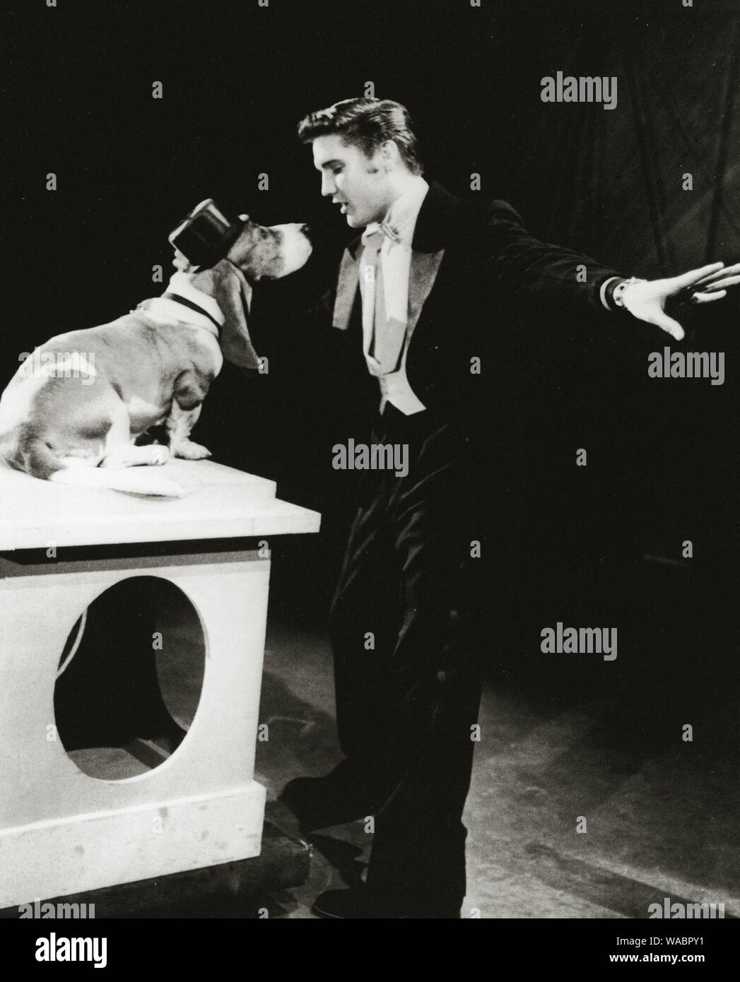 Elvis Presley serenaden Basset Hound mit dem Song, 'Hound Dog' am Set von "Der Steve Allen Show' (Juli 1956) Datei Referenz #33848-433 THA Stockfoto